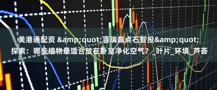 美港通配资 &quot;百瑞赢点石智投&quot; 探索：哪些植物最适合放在卧室净化空气？_叶片_环境_芦荟