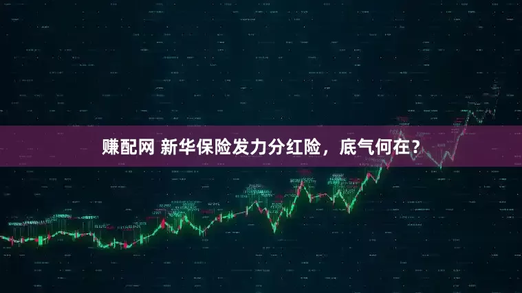 赚配网 新华保险发力分红险，底气何在？