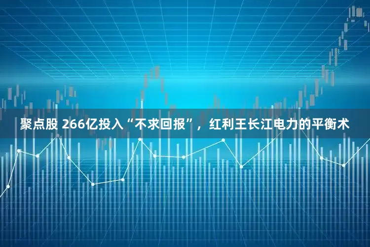 聚点股 266亿投入“不求回报”，红利王长江电力的平衡术