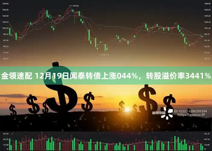 金领速配 12月19日闻泰转债上涨044%，转股溢价率3441%